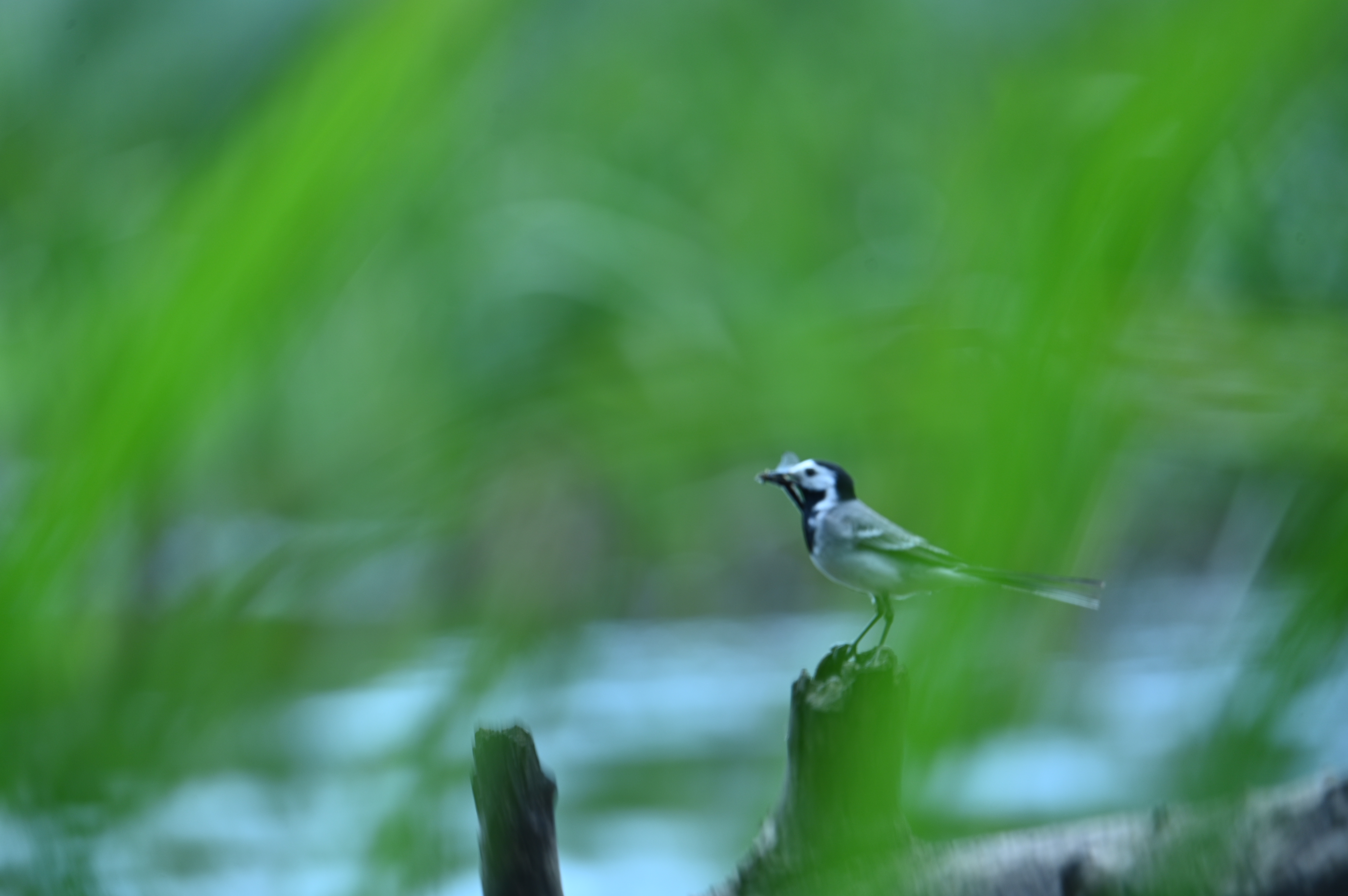 2025/07/09-14 - trip/DSC_0428.JPG